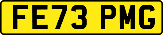 FE73PMG
