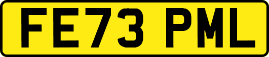 FE73PML