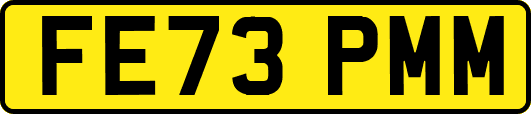 FE73PMM