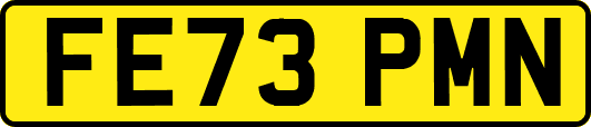 FE73PMN