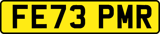FE73PMR