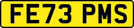 FE73PMS