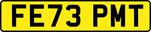FE73PMT