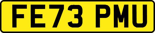 FE73PMU