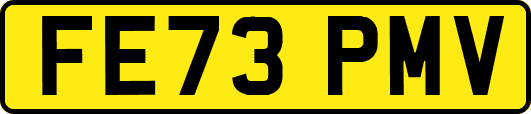 FE73PMV