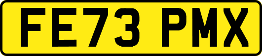 FE73PMX