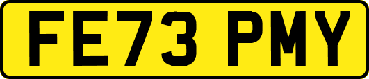 FE73PMY