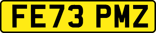 FE73PMZ