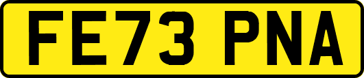 FE73PNA