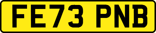 FE73PNB