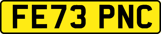 FE73PNC