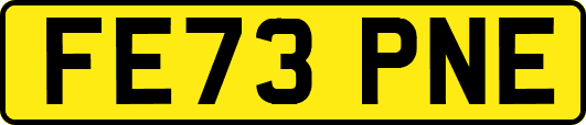 FE73PNE