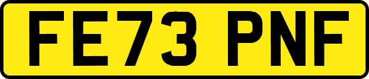 FE73PNF