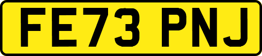 FE73PNJ