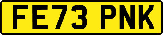 FE73PNK