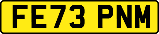 FE73PNM