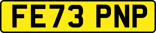 FE73PNP