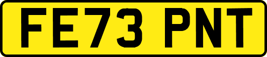 FE73PNT