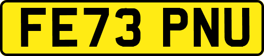 FE73PNU