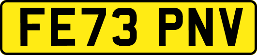 FE73PNV