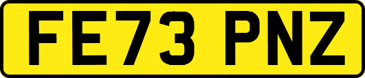 FE73PNZ