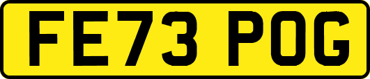 FE73POG