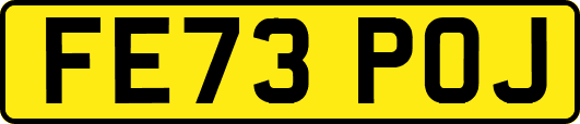 FE73POJ