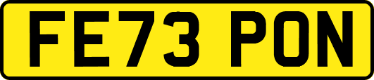 FE73PON