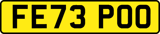 FE73POO
