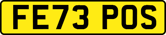 FE73POS