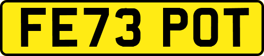 FE73POT