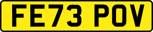 FE73POV