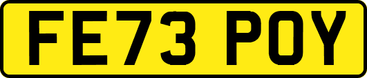 FE73POY