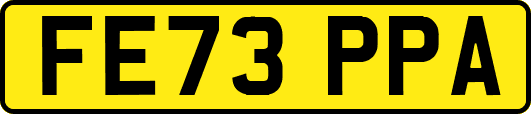FE73PPA