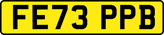 FE73PPB