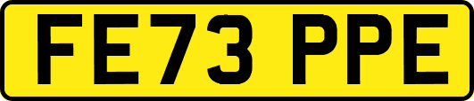 FE73PPE