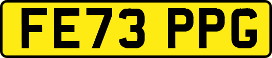 FE73PPG