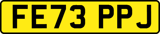FE73PPJ