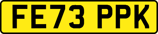 FE73PPK