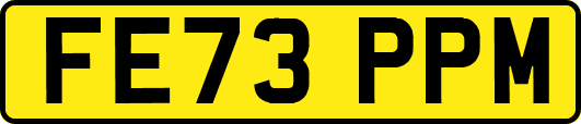 FE73PPM