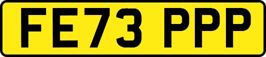 FE73PPP