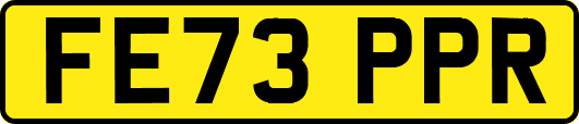 FE73PPR