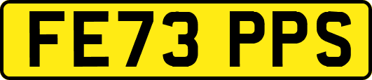 FE73PPS