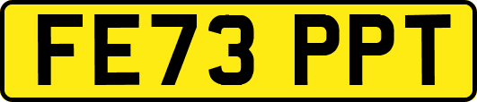 FE73PPT