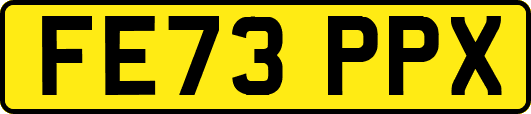 FE73PPX