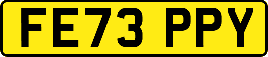 FE73PPY