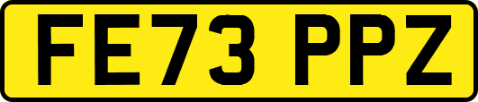 FE73PPZ