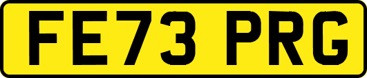 FE73PRG