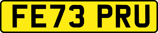 FE73PRU