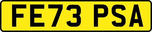 FE73PSA